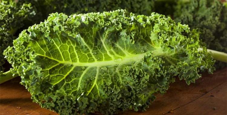Kale Nutrition: This Superfood Ain’t Going Out Of Style Anytime Soon