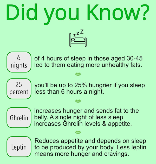 sleep facts