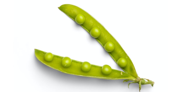 The Power of Pea Protein: Why You Will Cleanse So Hap-pea-ly