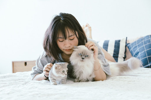 How Pets Boost Your Mood and Health