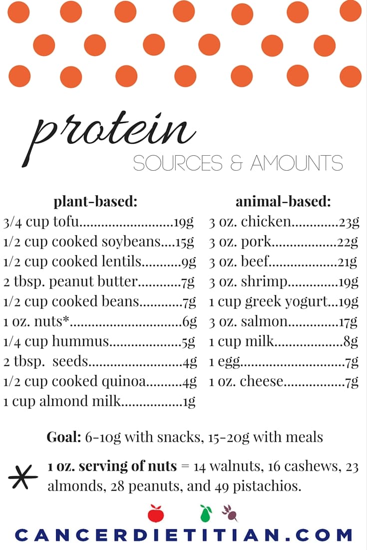 chart of protein in foods
